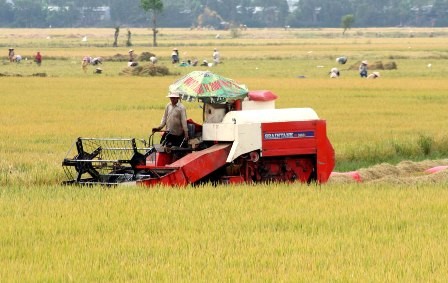 Mobilizing scientists to agricultural restructuring - ảnh 1